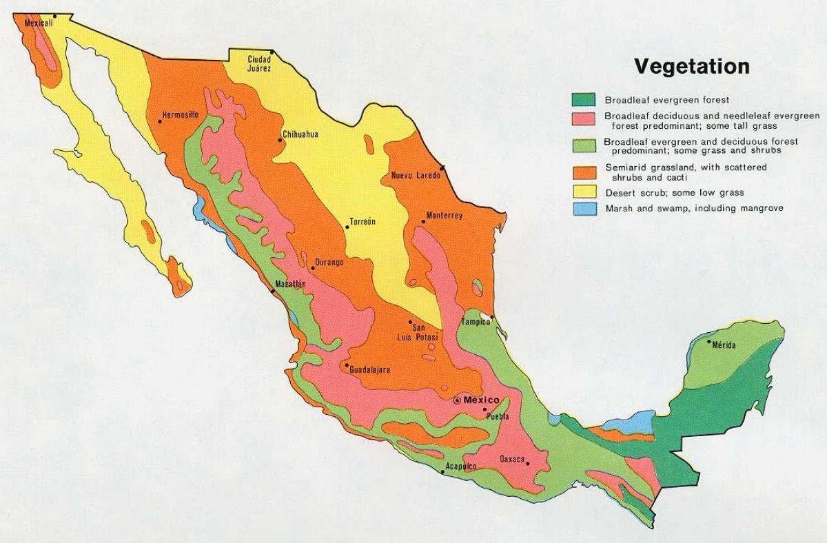 bản đồ của Mexico cơ thể nguồn tài