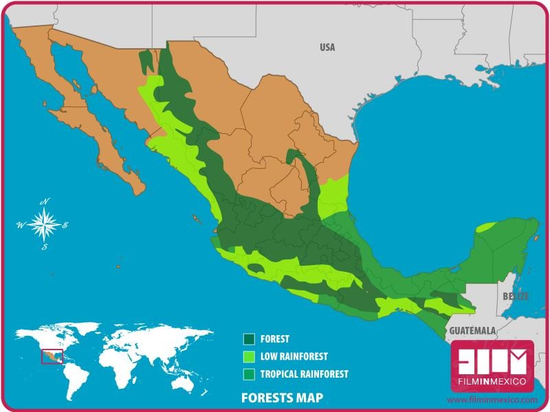 bản đồ của Mexico rừng
