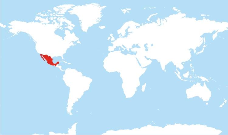 vị trí của Mexico trong bản đồ thế giới