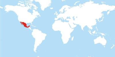 Bản đồ của Mexico toàn cầu