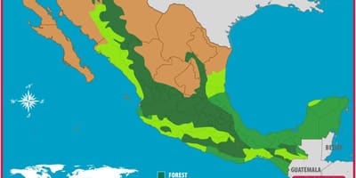 Bản đồ của Mexico rừng