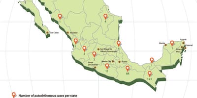 Zika Mexico bản đồ